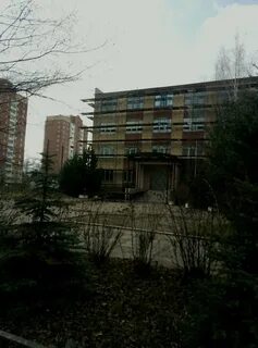 Миграция хрустальная 39