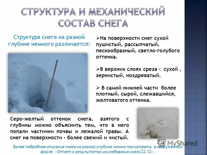 ноздреватый почему