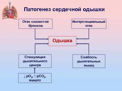 Механизм одышки