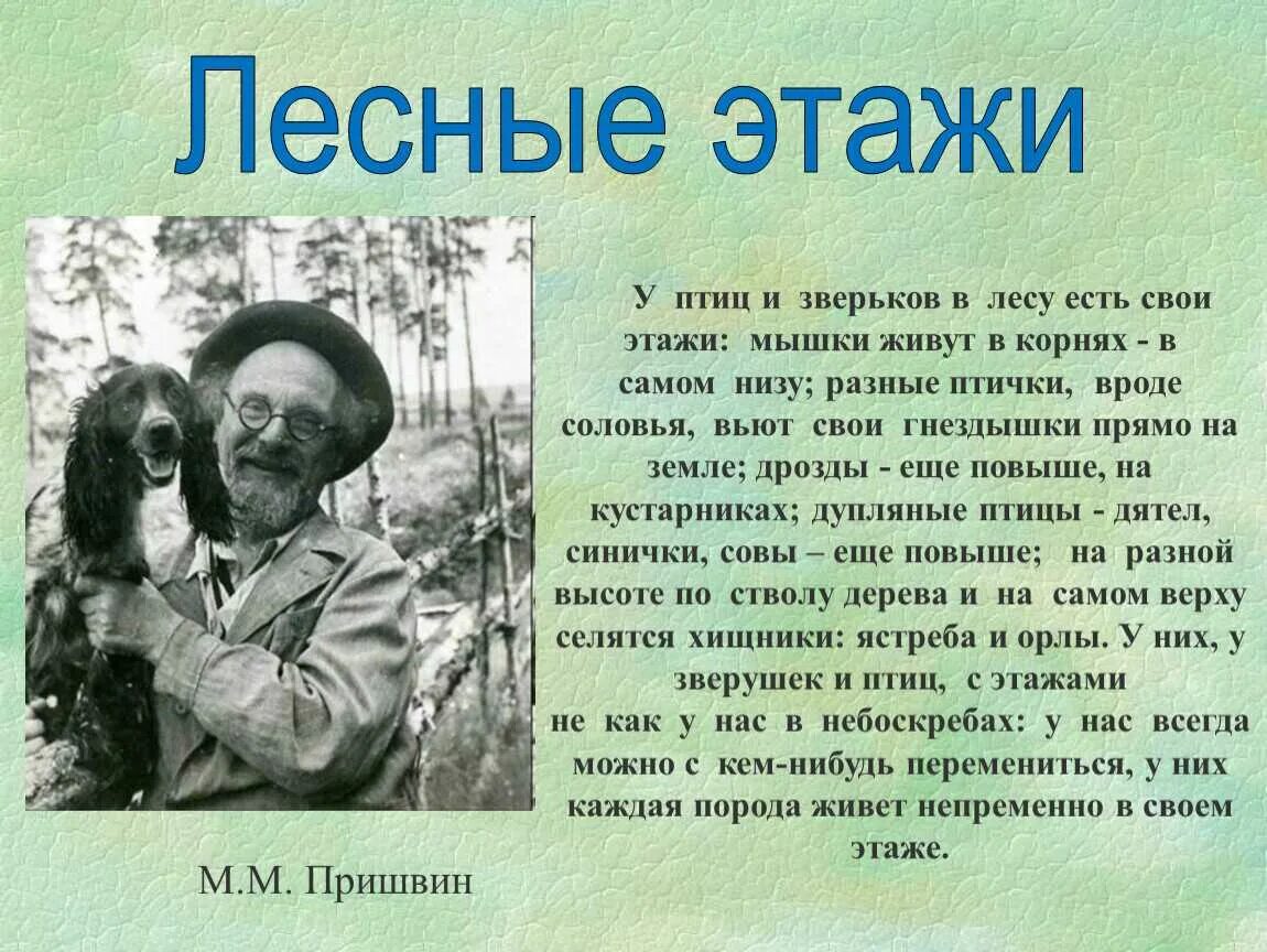 Родина произведение м м. Этажи леса книга Михаила Пришвина. Пришвин для детей этажи леса. Произведения м м Пришвина 4 класс. Рассказ м пришвин этажи леса.