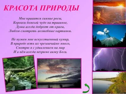 Проект красота жизни