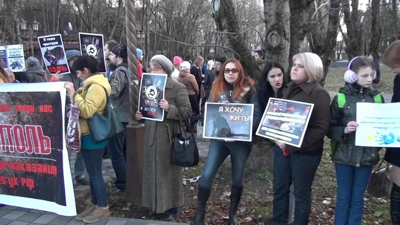 Ставрополь митинг животных 2016. Митинг животные. Россия без жестокости. Волонтеры Ставрополь митинг животных 2016. Митинг ставрополь