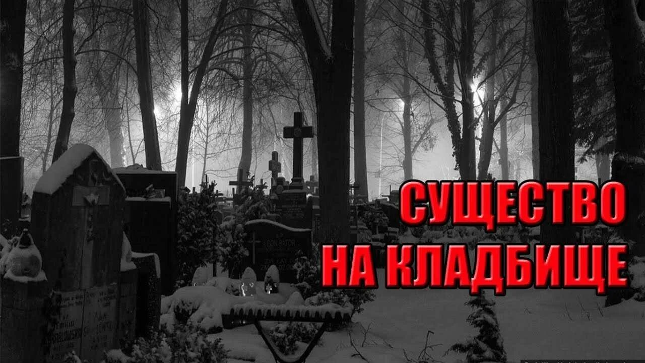 Истории про кладбища из реальной жизни. Страшные истории про кладбище. мистические истории про кладбище. ночь на кладбище страшилки.