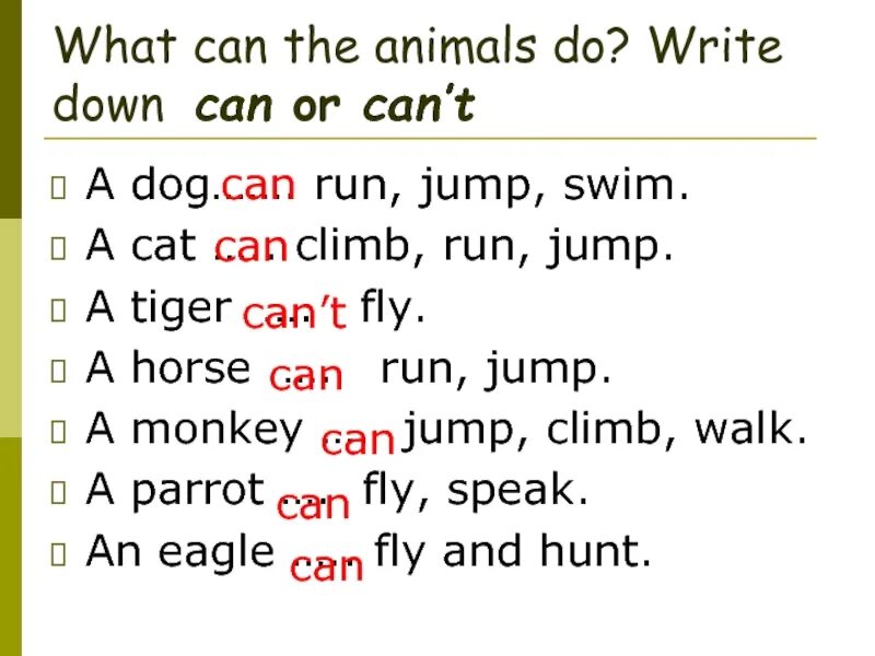 What can you do ответ. Can cant animals. animals can can&#039;t. can cant упражнения. can or can&#039;t.