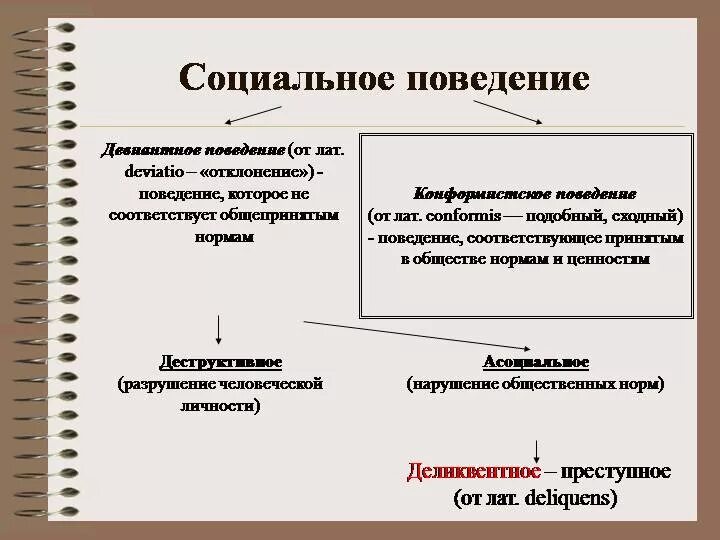 Классификация видов социального поведения. Формы социального поведения человека. Социальное поведение это в обществознании. Типы социального поведения Обществознание. Модели общественного поведения