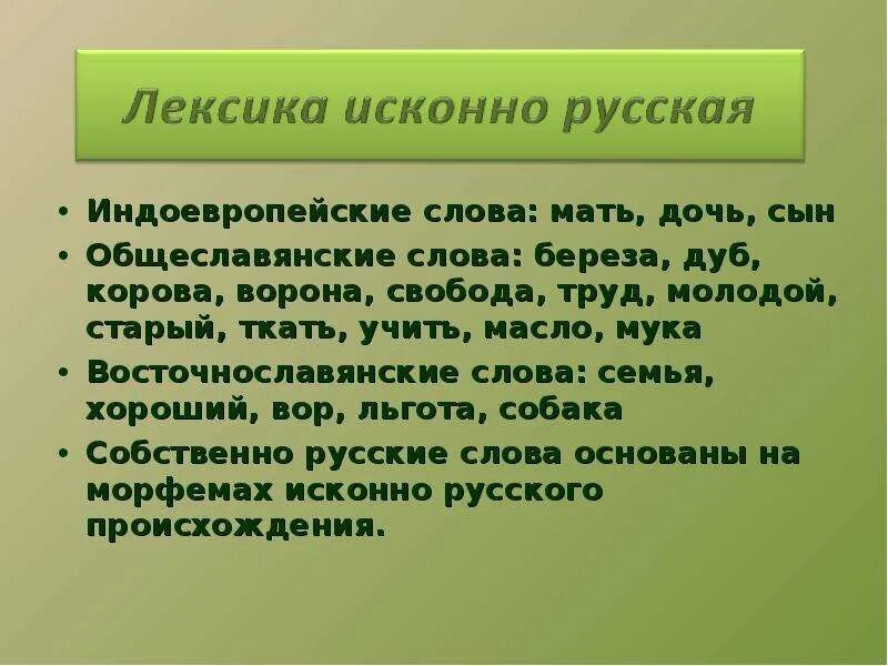История слова врач. Речь порок общеславянский корень. Протославянский язык. Общеславянские корни слов. Обще восточной славянские слова.