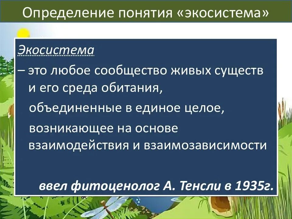 Дайте определение экосистемы