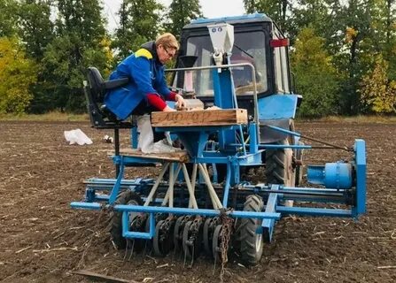 Анц донской зерноград