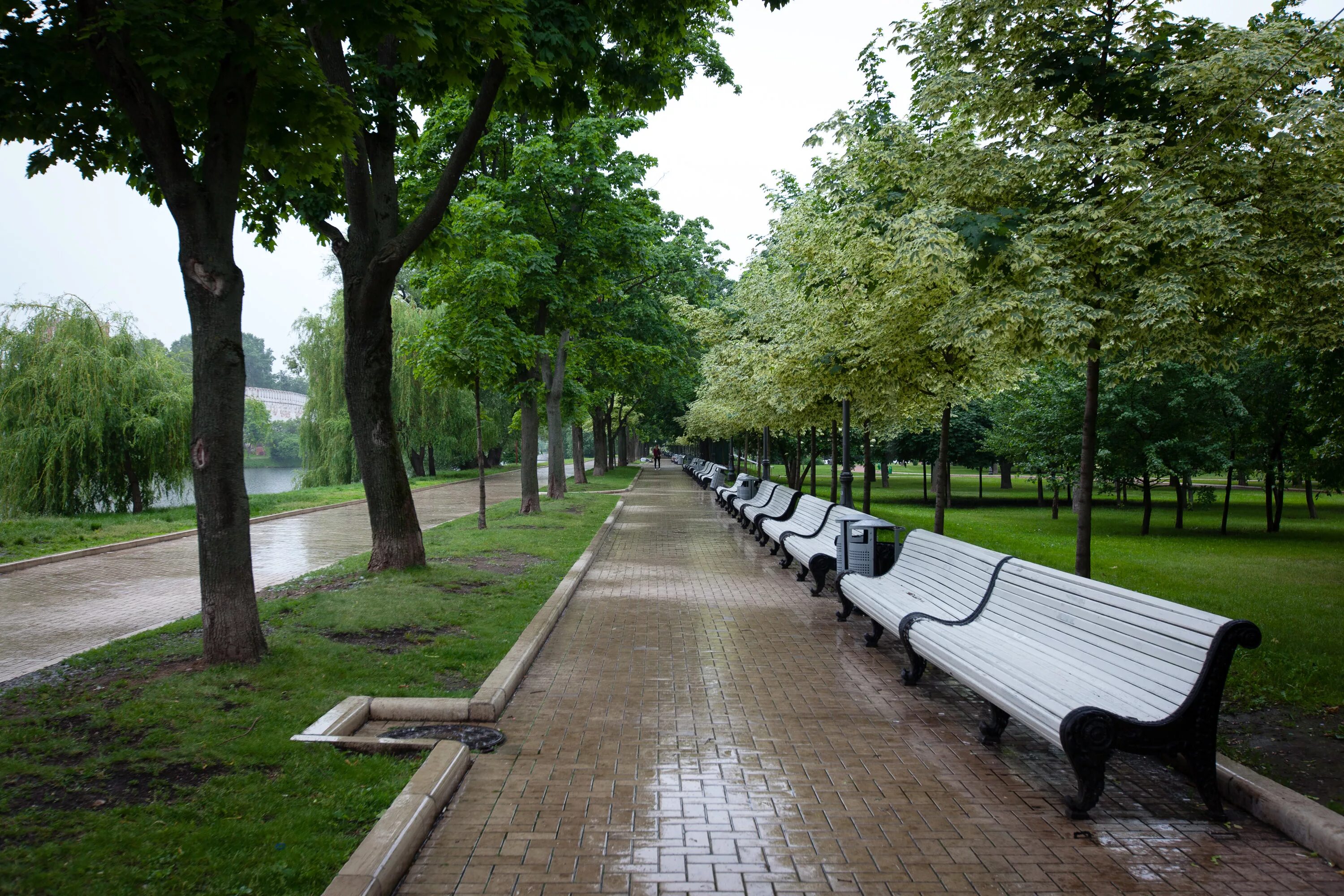 Аллея кск. Аллея. Парк в Москве. Улицы и парки Москвы. Односторонняя аллея.