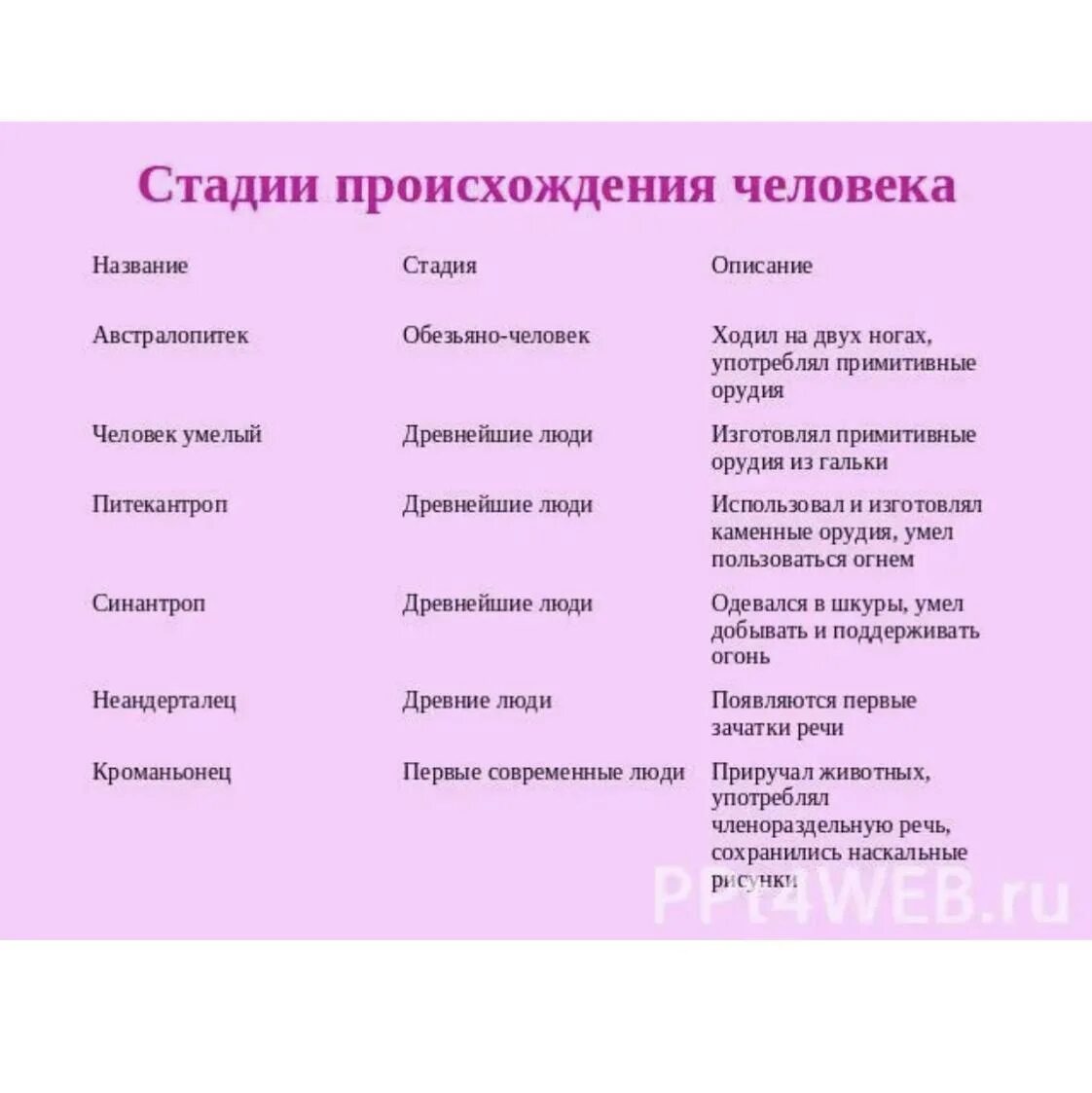 Основные стадии эволюции человека таблица 9 класс биология. Стадии развития человека таблица биология 5 класс. Опишите основные стадии эволюции человека таблица. Этапы происхождения человека предки человека таблица. Таблица по биологии этапы эволюции