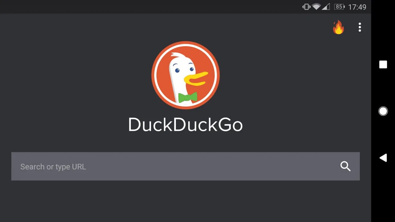Duck duck browser. Duckduckgo браузер. duckduckgo поисковик. дюк дюк гоу. duckduckgo browser logo.