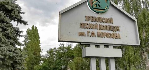 Погода хренов