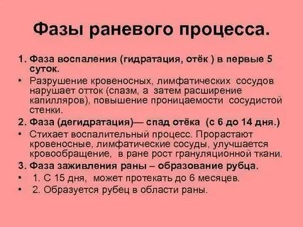 Фазы раневого процесса хирургия