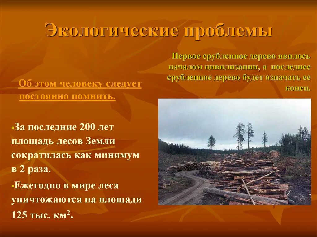 Местные экологические проблемы проект Какие могут быть проблемы: 10 главных проблем, которые встанут перед человечеств