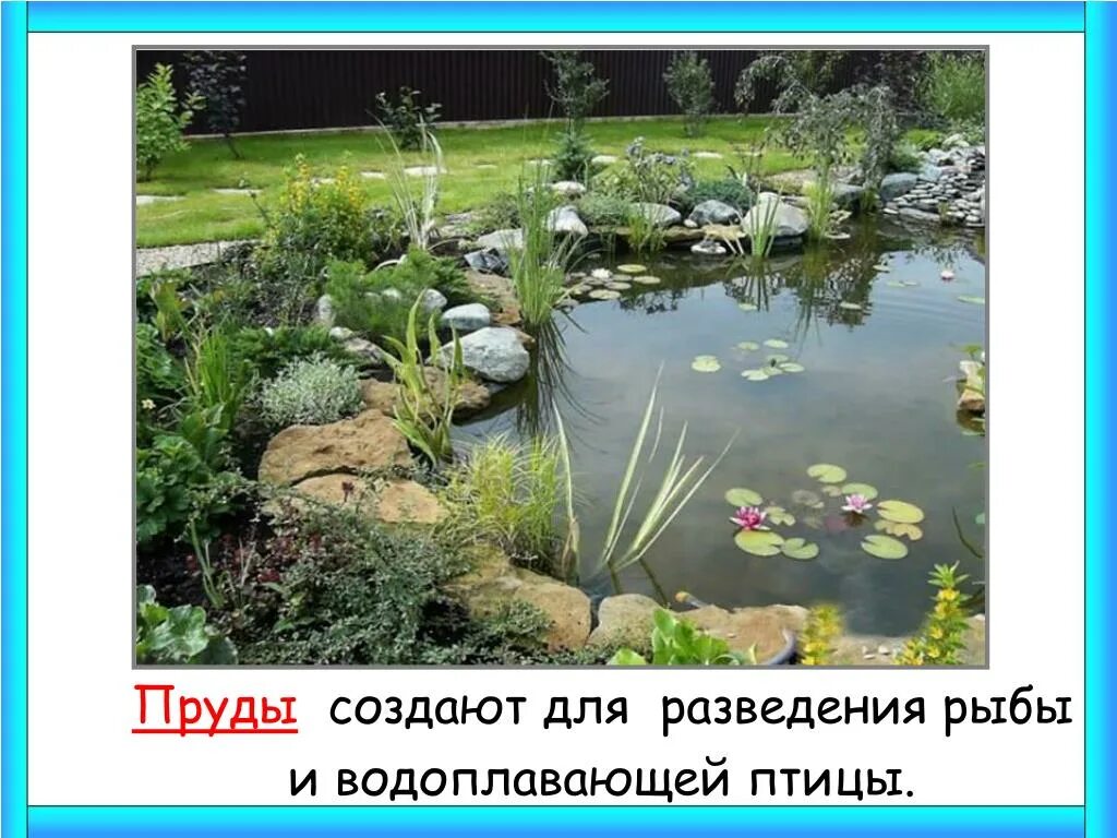 Сообщество пруда 3 класс окружающий мир. Водоёмы 2 класс окружающий мир. природное сообщество водоем. водоемы нашей местности. природное сообщество пруд.