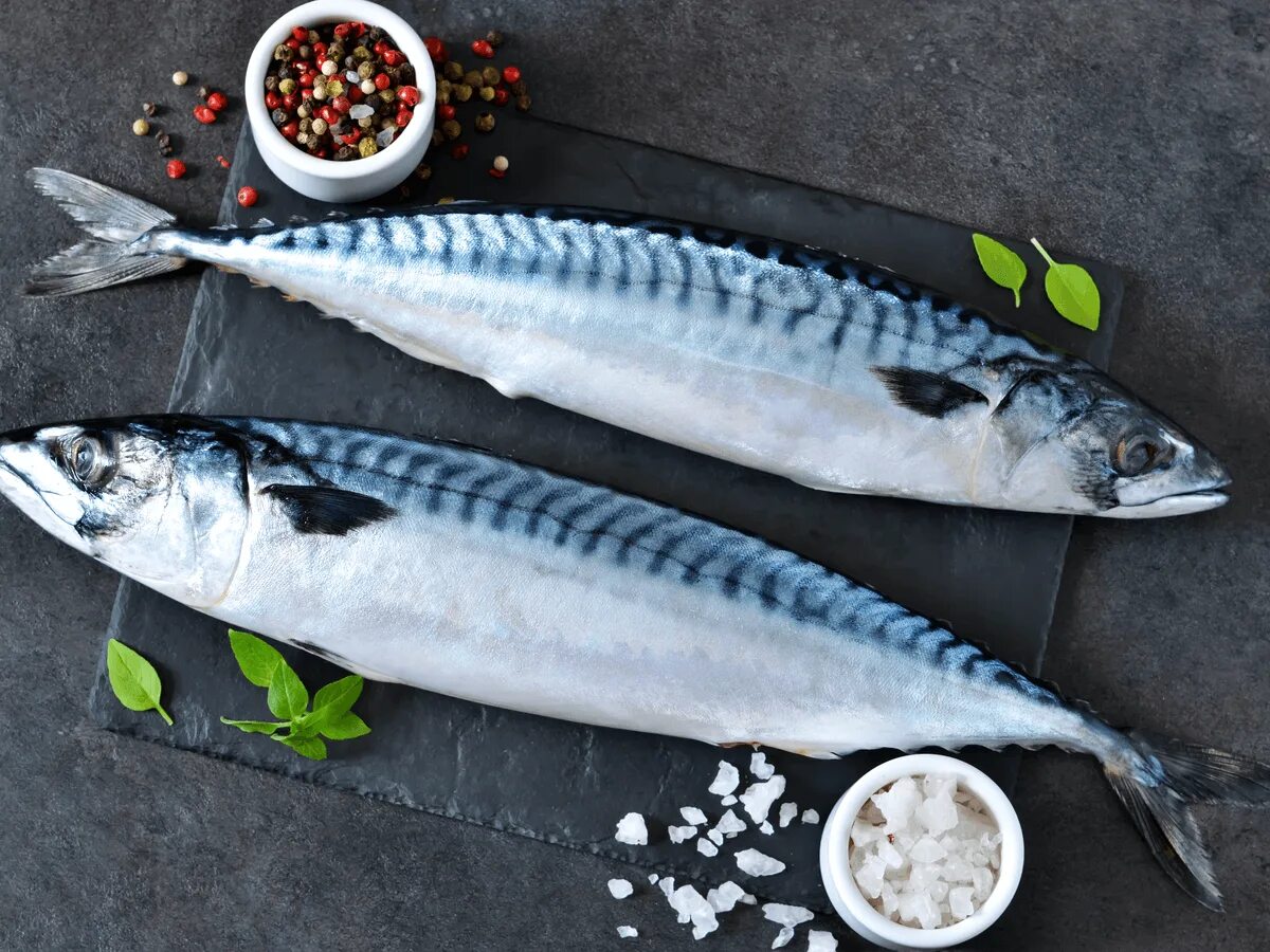 Рыба скумбрия. Рыба скумбрия свежемороженая. Атлантическая макрель. Mackerel Fish скумбрия.