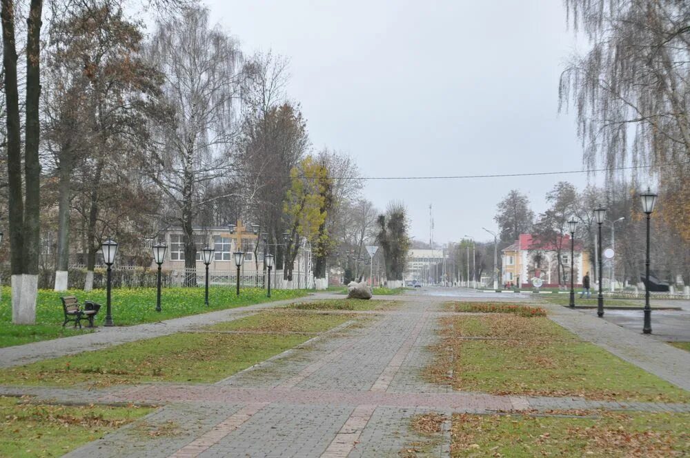 г. старый быхов крепость. быхов беларусь достопримечательности. могилёвская область город быхов. город быхов могилевской области.