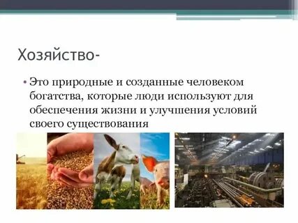 Хозяйствование это