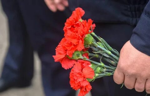 Попал в один букет с гвоздикой