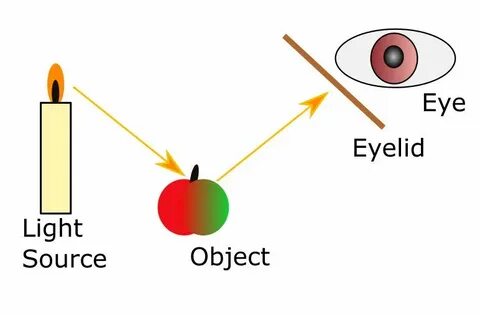 We see our eyes