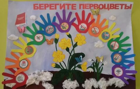 Коллективная работа первоцветы