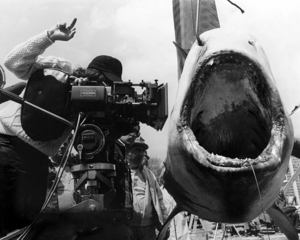 Jaws