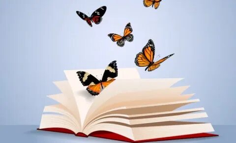 Раскрытая книга бабочки