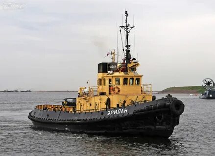 Авито морские