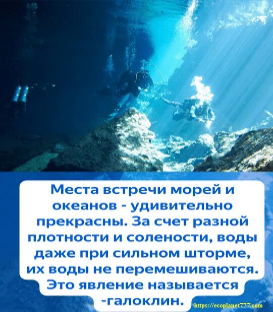 Два моря не смешиваются коран. Почему 2 океана не смешиваются друг с другом. Галоклин дания. Границы черного моря и азовского моря. Почему два океана не смешиваются.