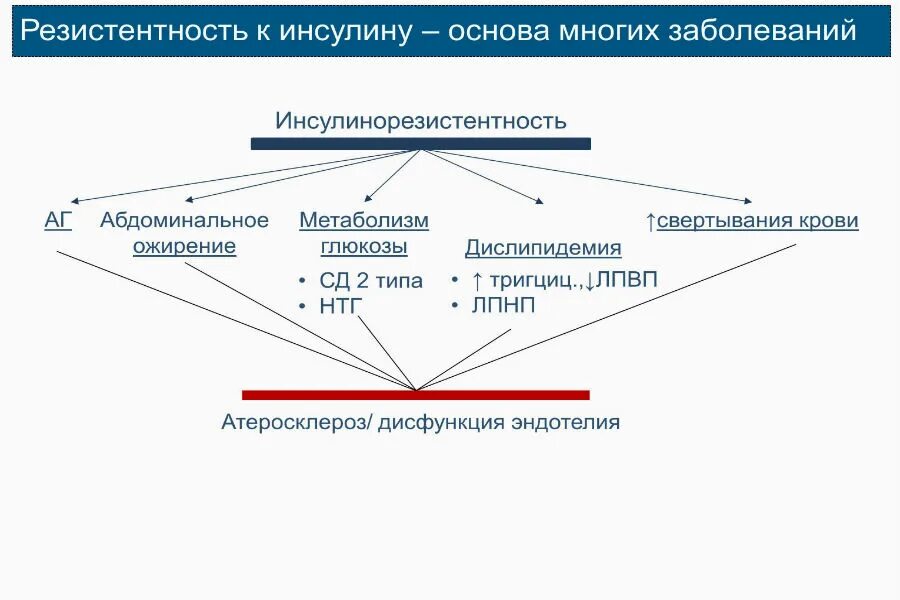 Инсулина резистенция симптомы. Признаки инсулинорезистентности. Инсулинорезистентность признаки. Признаки инсулинорезистентности у женщин. Сниженная резистентность