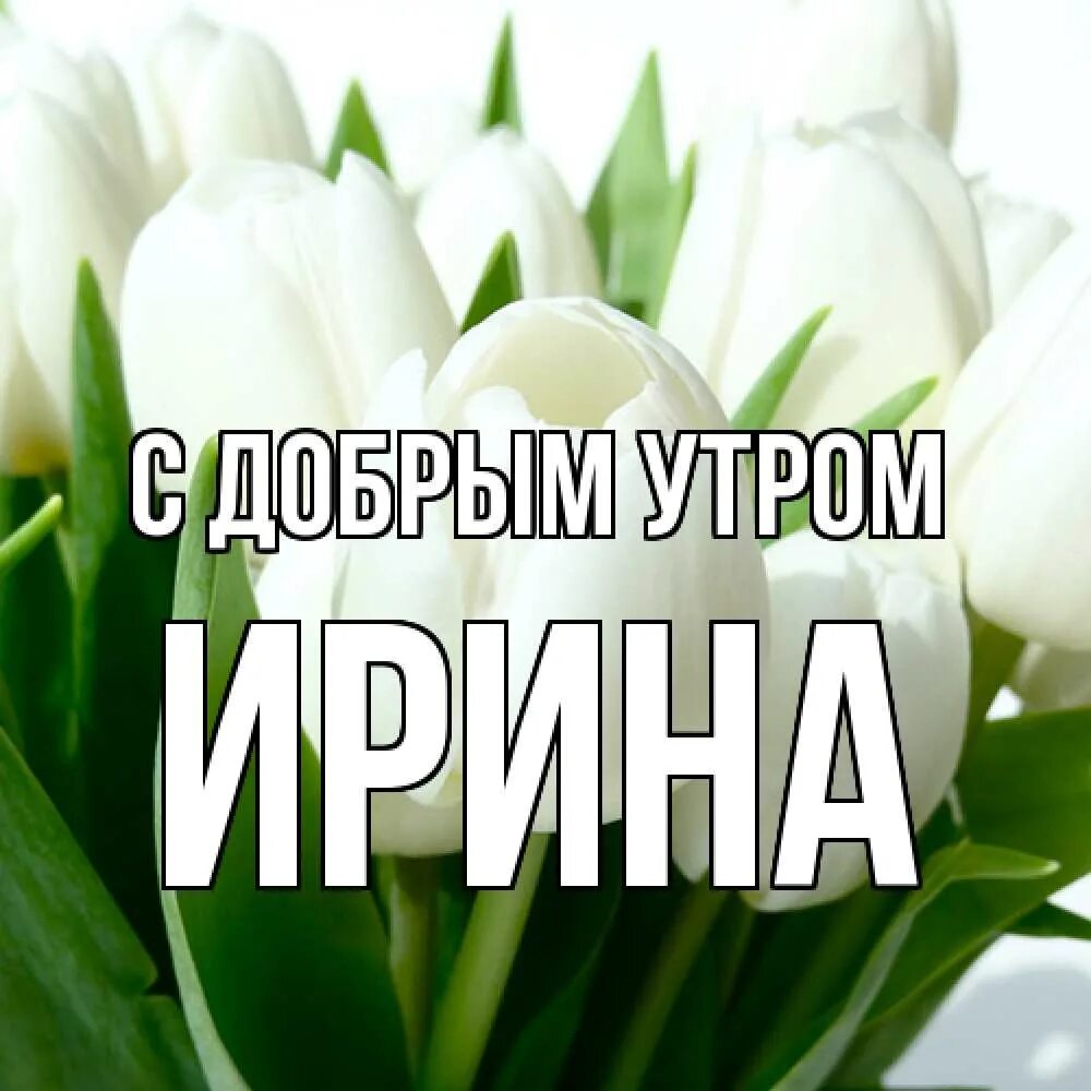 alekzei kovalenkoalejksej OK.RU