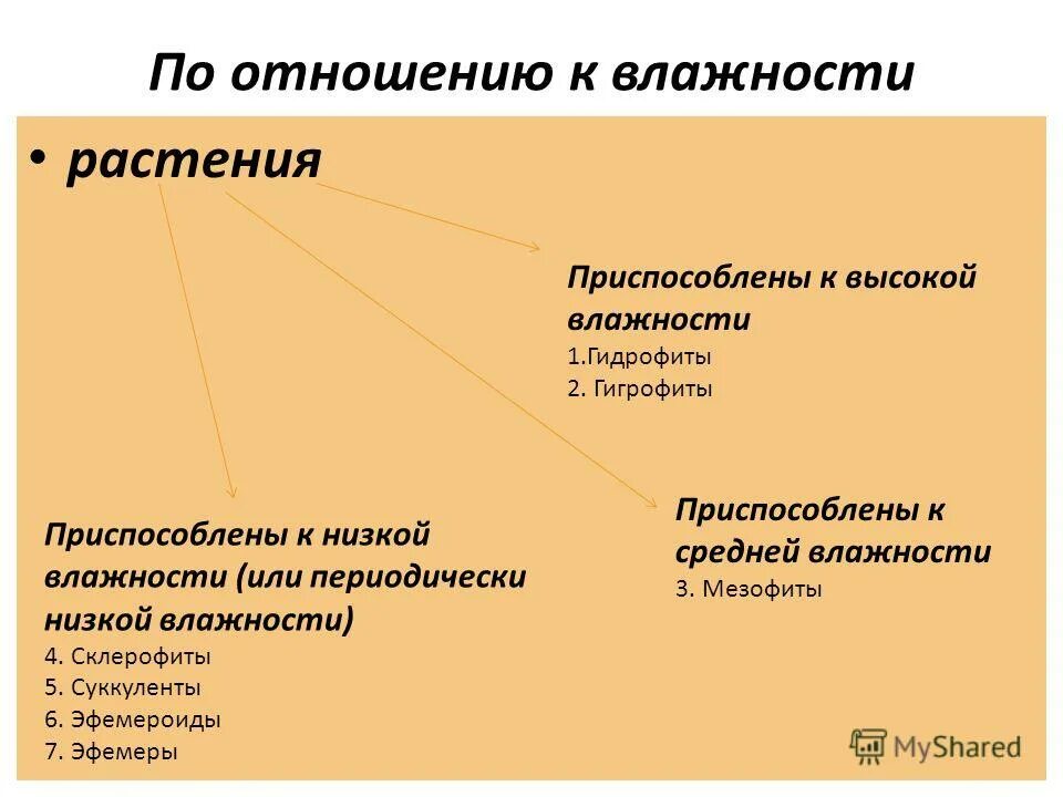 Классификация растений по отношению к температуре. Три группы по отношению к влажности. Классификация растений по отношению к влажности. Экологические группы растений по отношению к воде. По отношению к влажности.