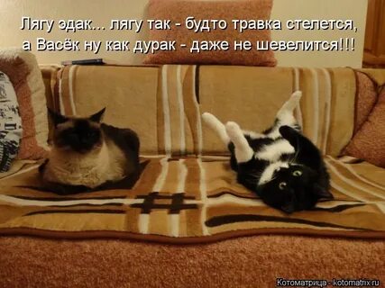 Ничто не шевелилось ни одна травка