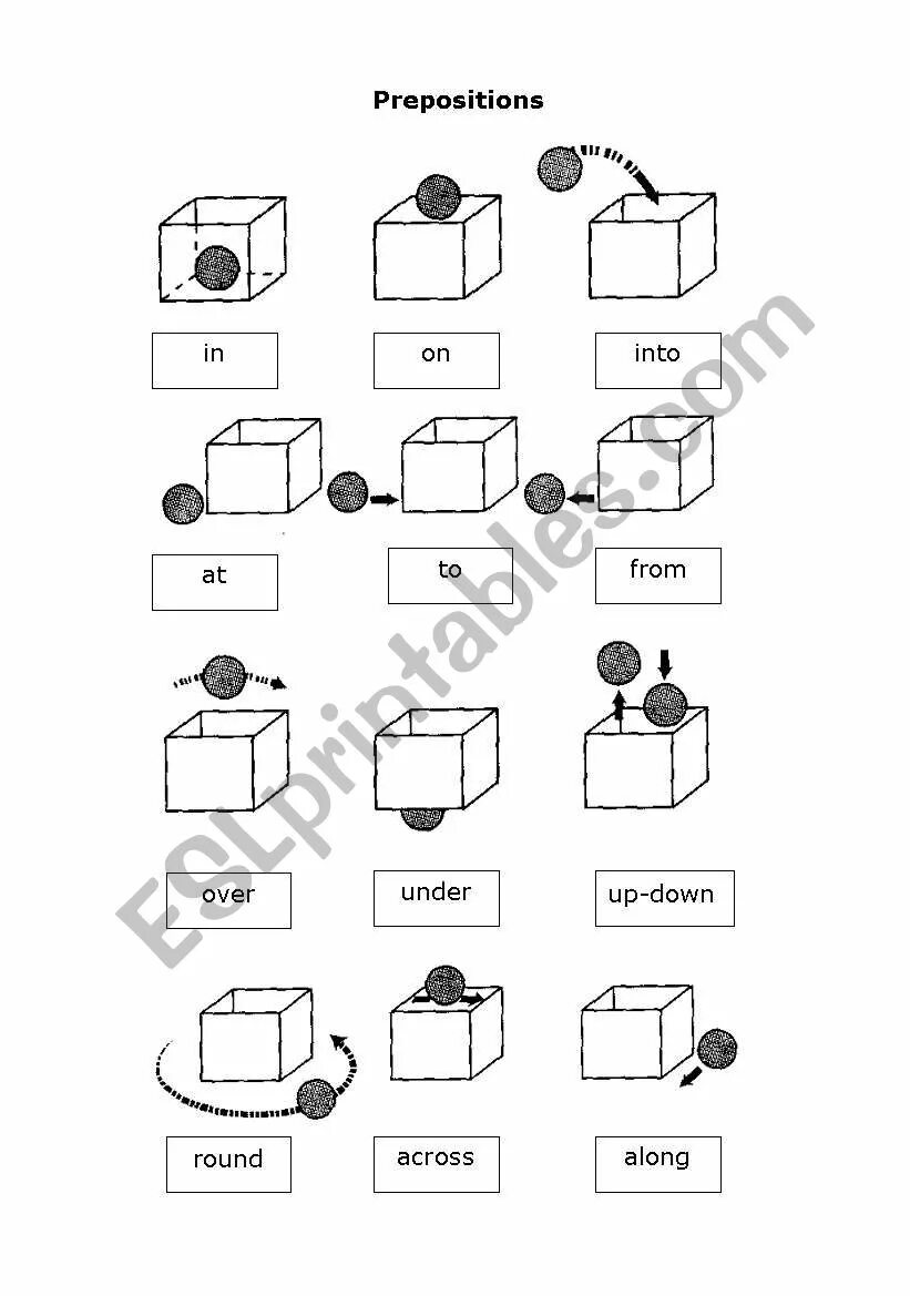 Write the prepositions