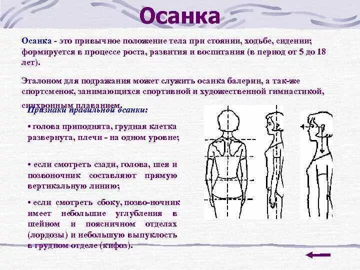 Положение тела при котором плечи