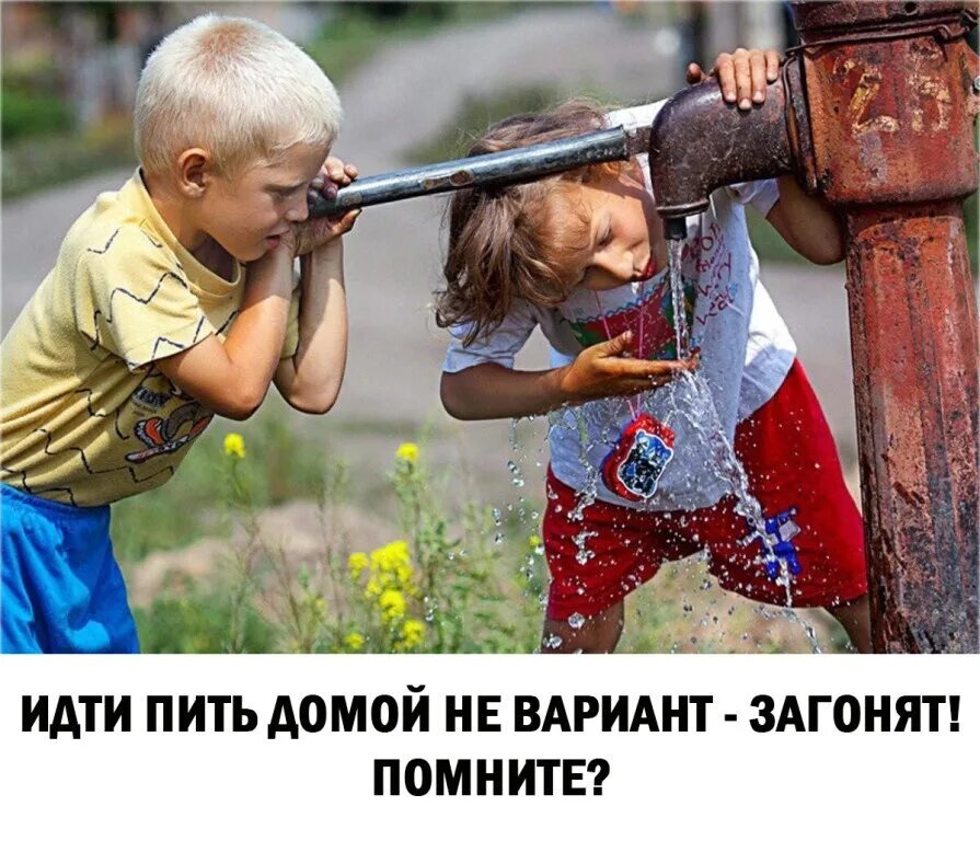 Подать не вариант. Идти пить домой не вариант - загонят. домой не загонишь. помните идти домой не вариант загонят. попили и домой.