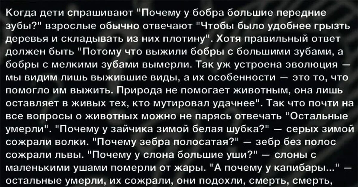 Умножающий мудрость умножает печаль. Умножающий мудрость умножает печаль