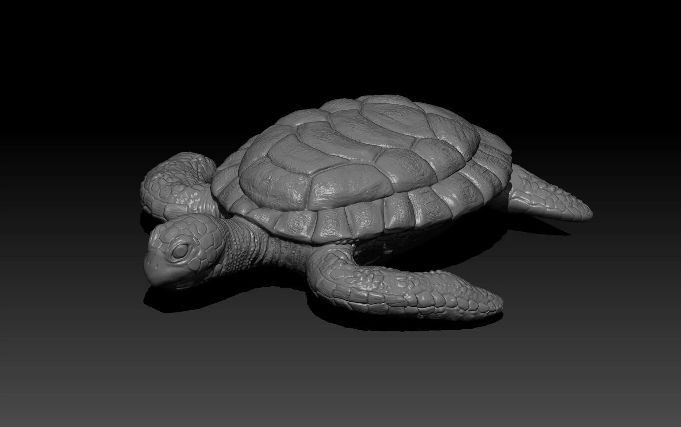 Мод черепаха. Черепаха 3д модель. черепаха 3д. черепаха 3d модель. черепаха 3д проект.
