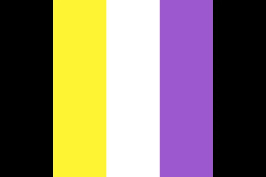 Flag color. Флаг non binary. non binary pride flag. флаг би палитра. color flag.