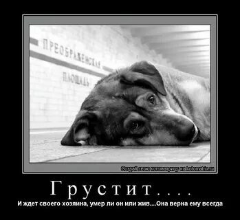 Люди но почему вы такие