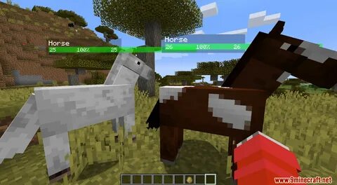 Neat 1.12 2