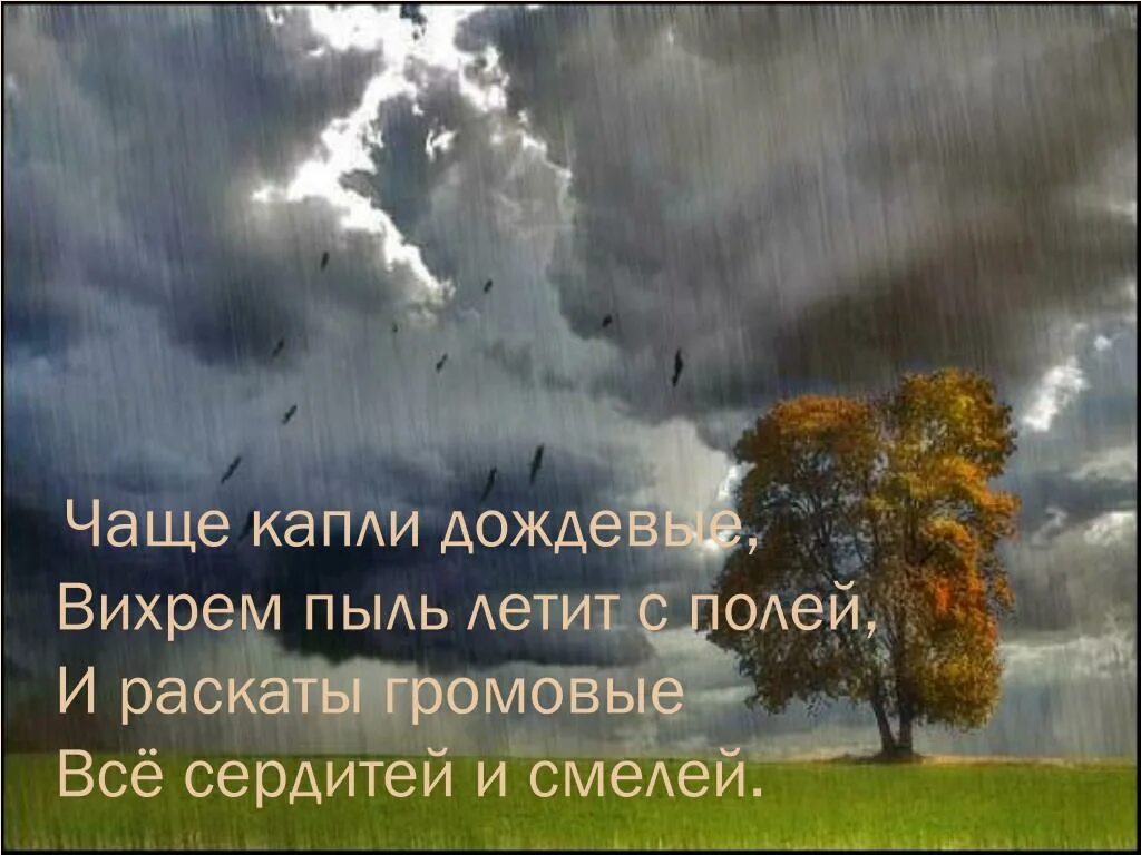 Чаще капли дождевые вихрем. Чаще капли дождевые вихрем пыль летит с полей. Чаще капли дождевые, вихрем пыль летит с. Громовые раскаты. Ветер гонящий пыль