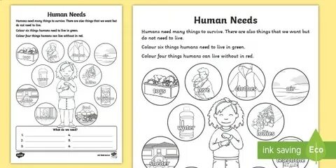 Human needs