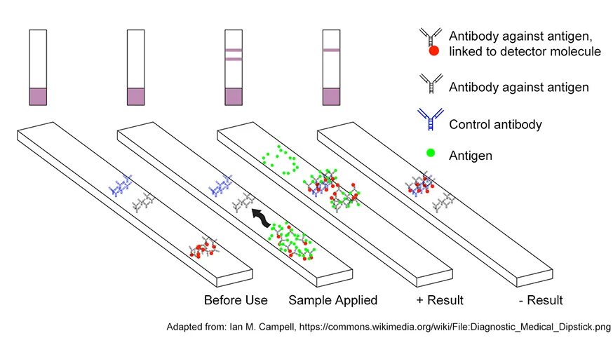 Тест методом антиген. Антиген Rapid Test. Covid-19 antigen Rapid Test инструкция. Рапид-Covid-19-антиген. SARS-cov-2 Rapid antigen Test инструкция.