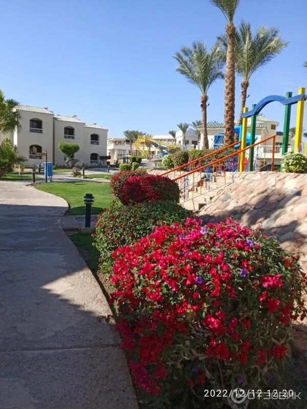 Отель в египте island view resort. Санрайз резорт шарм-эль-шейх. island view resort 5 египет. meraki египет шарм-эль-шейх. египет отели ванна.