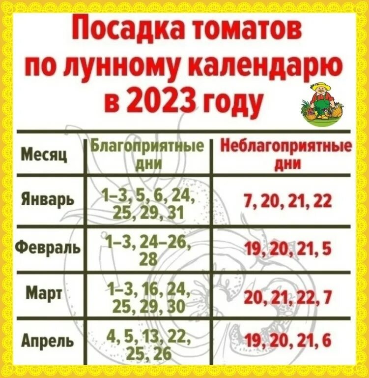 Лунный календарь посева огурцов на рассаду 2025. Благоприятные дни для рассады. календарь посадки рассады. благоприятные дни для посева семян. благоприятные дни для посева перца на рассаду.
