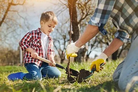 Planting boy