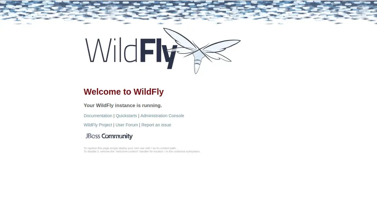 Wildfly logo png. Fly welcome логотип. Jboss wildfly. Icelandic film centre. Jet blue airlines багаж.