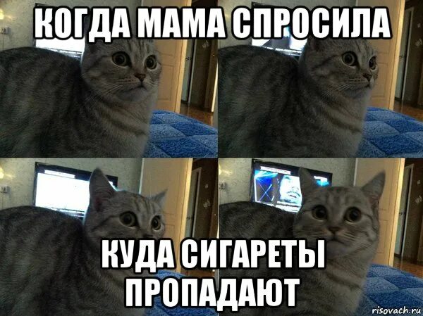 Куда делась сигареты. Сигариллы гамлет куда пропали. Мтквари сигареты. Сигареты высокий замок. Российские сигареты.