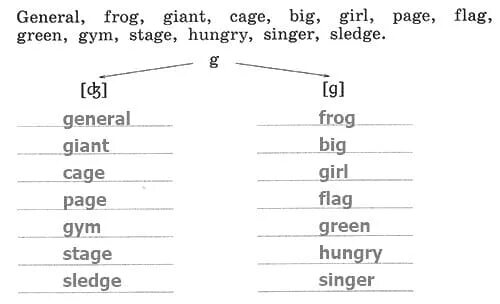 Rainbow english 2 класс рабочая степ 52. английский язык рабочая тетрадь степ 28. 3 класс рабочая тетрадь афанасьева афанасьева. Gym page general. книга more step by step listening.